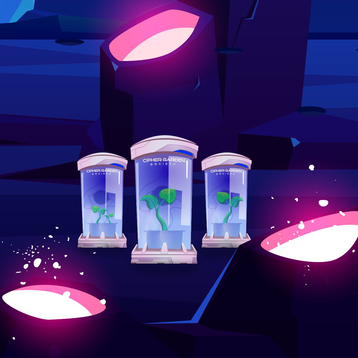 How to mint Cipher seed?
official.ciphergardenftsociety.com/how-to-mint/

Hi, society! we wanted to share how you can mint a Cipher Seed while it is still up for 30 #Polygon/Matic

This is your chance to own a Cipher Tree in the early stages of the project.

#NFTCollection #NFTCommunity #NFTs #Polygon