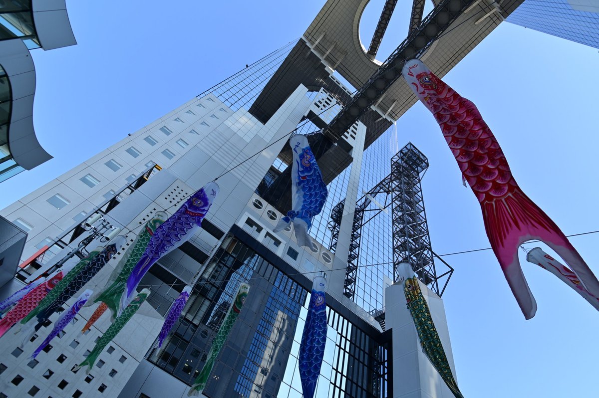 もっと高く🎵

#ファインダー越しの私の世界 #写真好きな人と繋がりたい #写真撮ってる人と繋がりたい