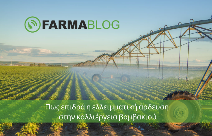 🚜 7 συμβουλές για μια επιτυχημένη σπορά βαμβακιού
Διαβάστε περισσότερα στο Εβδομαδιαίο #Newsletter της #FARMACON .
mailchi.mp/695d2534c46f/7
#COTTON #ΒΑΜΒΑΚΙ