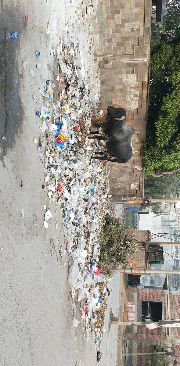 Sector-49@SainikColony_Faridabad tweet media