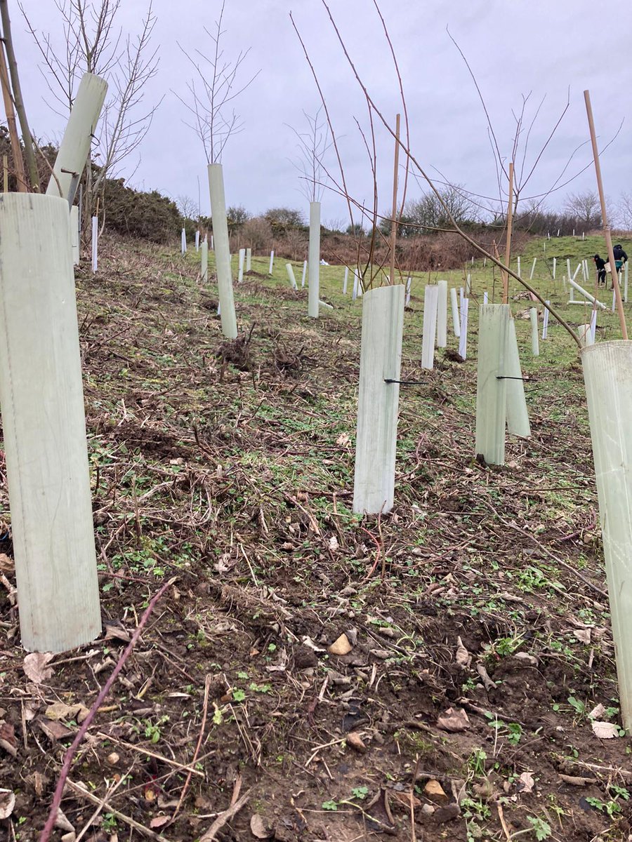 9treesUK's tweet photo. Make a difference with #9TreesUK, be featured in our next press release and #Newsletter
Join the #ClimateFightback to help us fund 1 - 10,000 trees on altruistic landowners' land throughout the UK.
From just £10 per tree, to our Silver Level Partnership options!
#Trees #Planting https://t.co/eIjEqJ07os