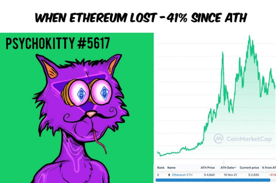 nft_maniac tweet media