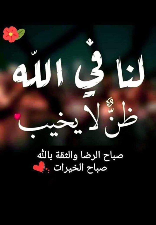 خالد ابو ربيع (@abwrby56568212) on Twitter photo 