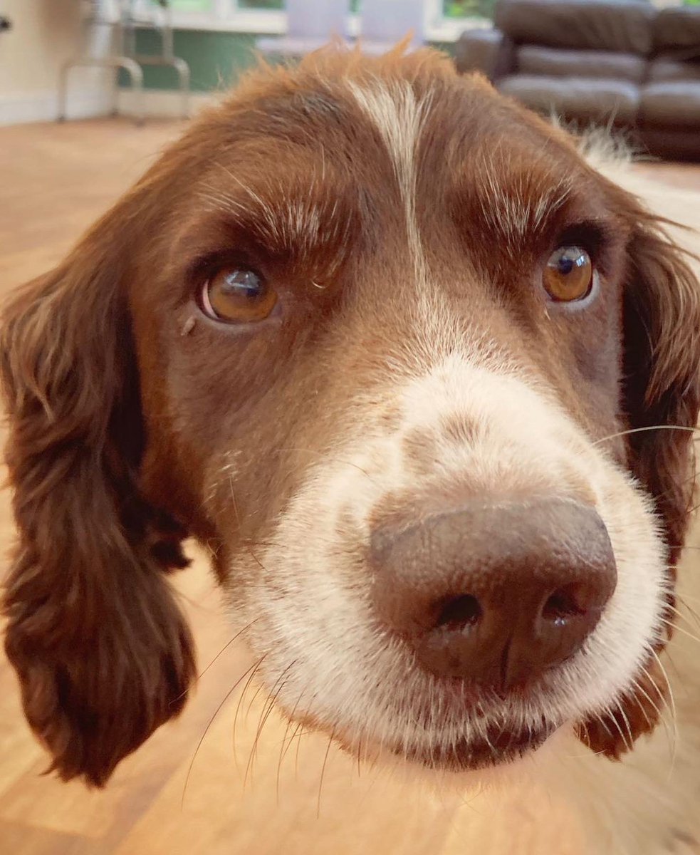 brightfull_tech tweet picture