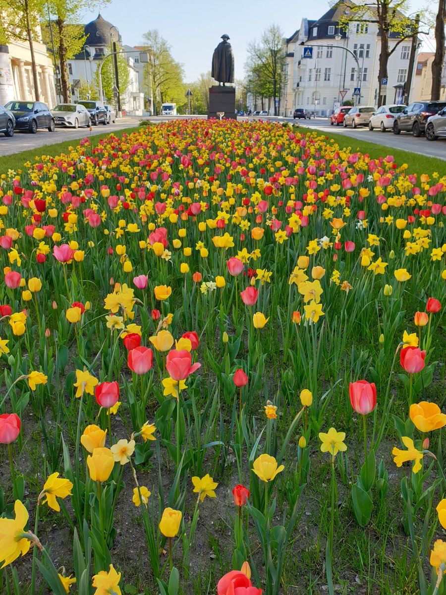 Stadtmagazin DATEs tweet media