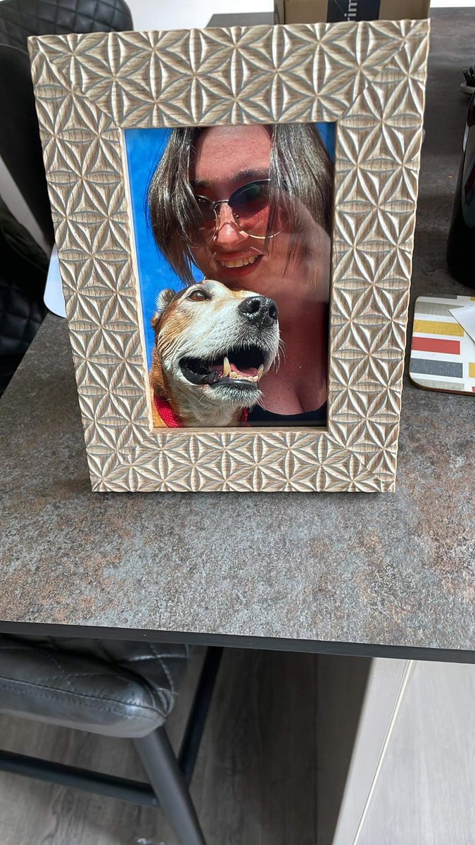 Finally manage to get photo framed of Biscuit. He may not be here anymore but memory live on #photooftheday #memories #foreverinmyheart