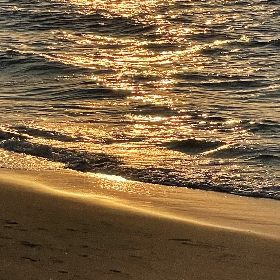 wish you were here,