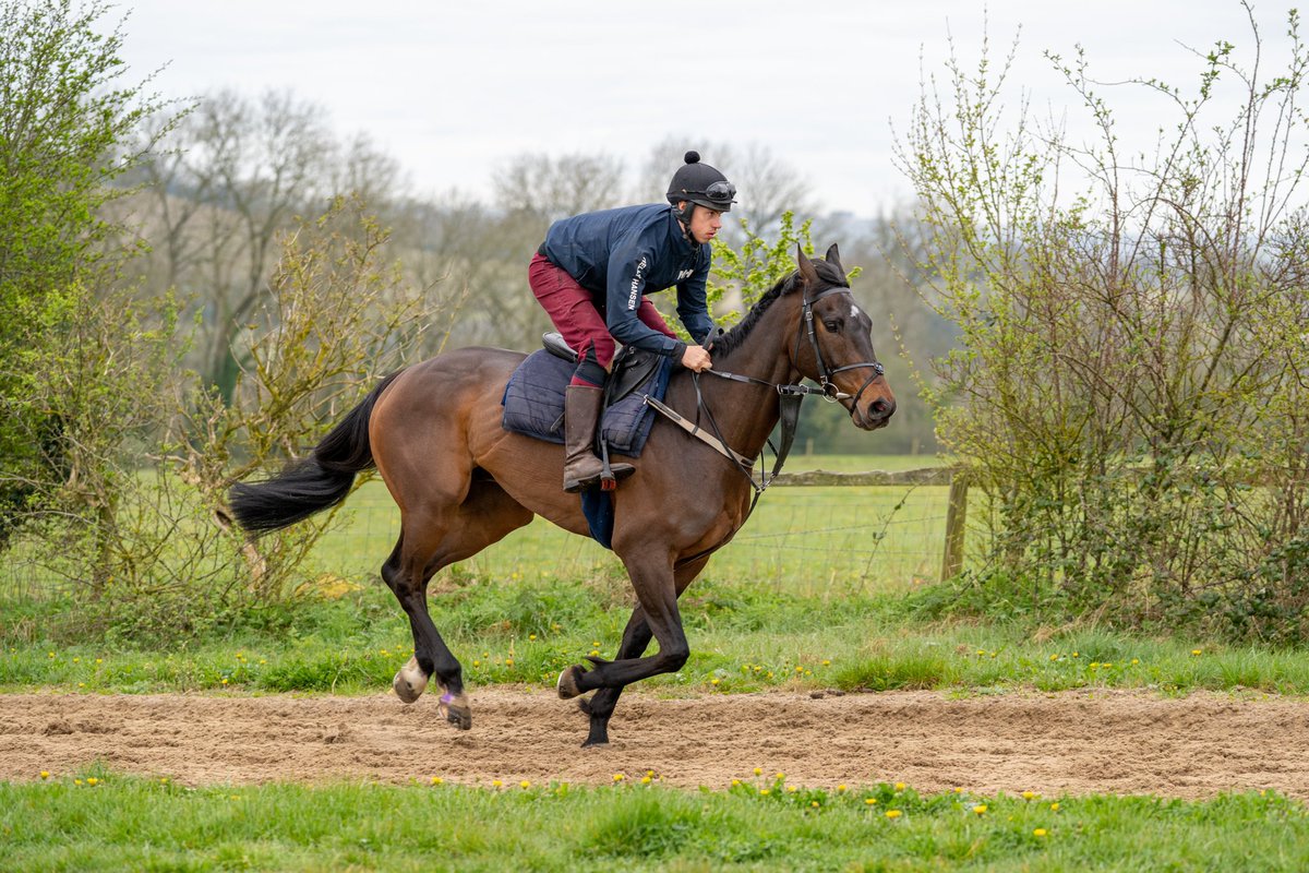 FOBRacing's tweet photo. Two @FakenhamRC runners today, Ajay’s Ways and Zulu Dawn
@kielanwoods and @EadieLaw ride #TeamOBM https://t.co/A6SiIrrBz2