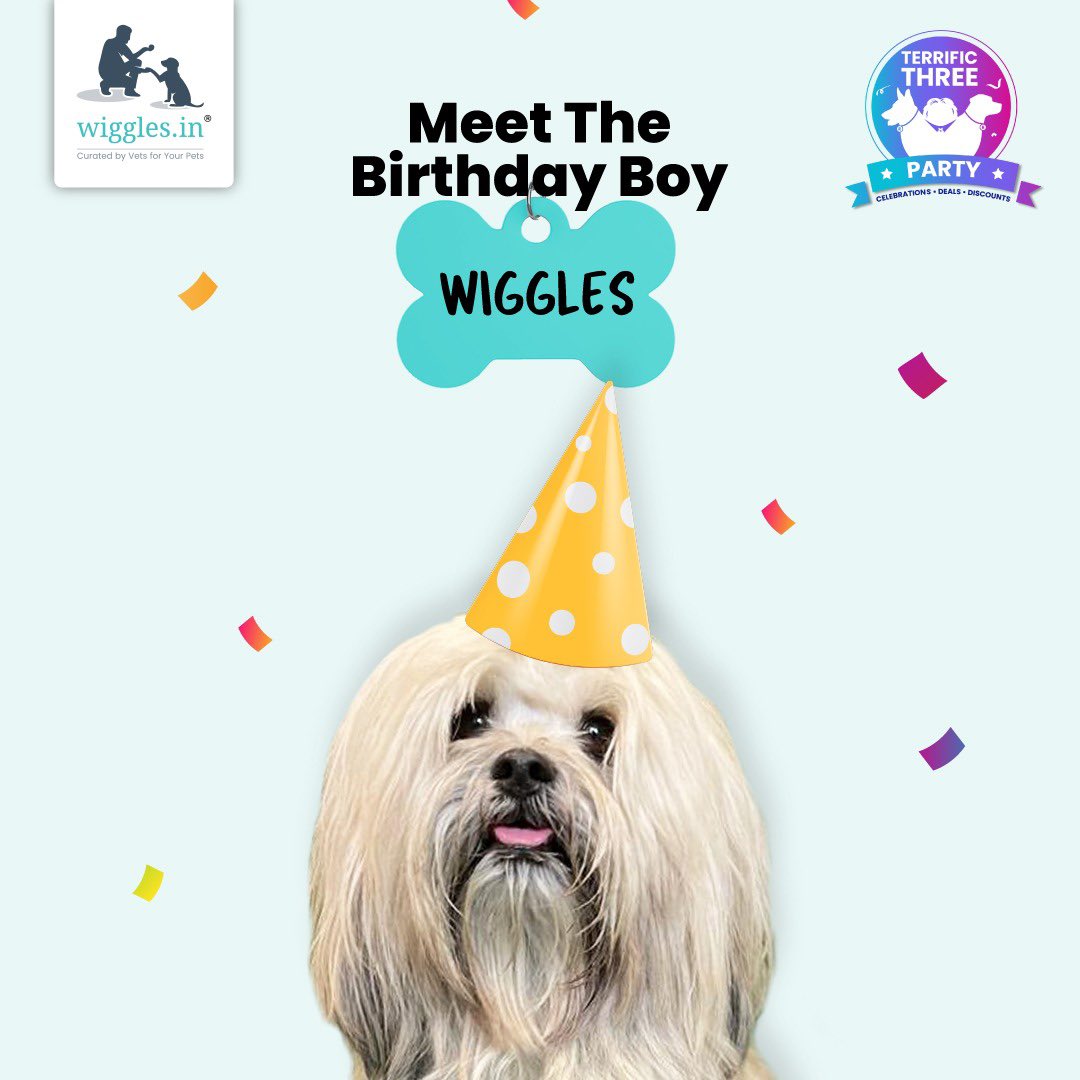 Hi! I'm Wiggles, the big boss of this company. I am sooo excited for my birthday that my tail hasn't stopped wagging since yesterday! Will you be joining my party? I promise to give you boops!
P.S - Boops in exchange of treats only. 🐶
.
.
.
.
#birthday #WigglesIndia #Trending