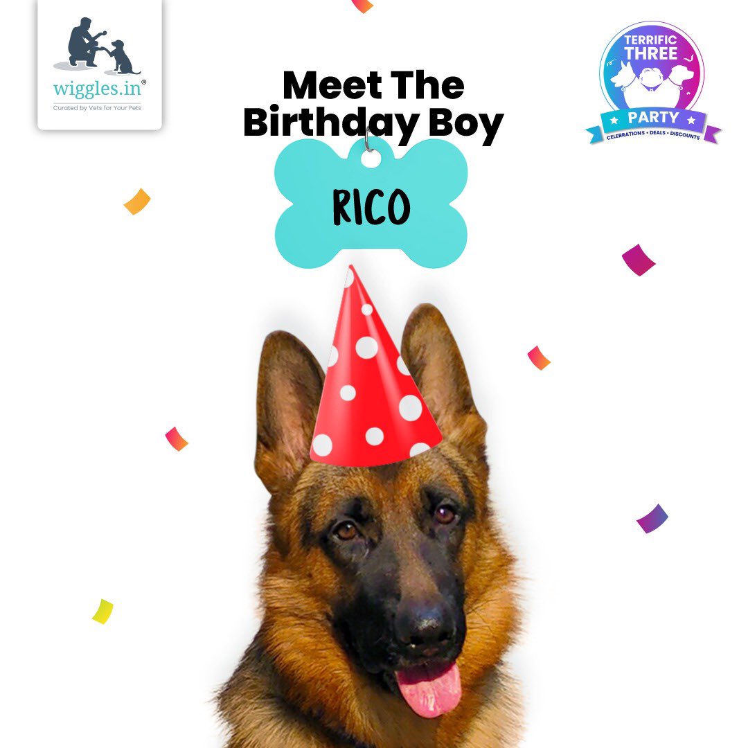 Hey hoomans, it's me, Rico! Also known as Wiggles' ka badaa bhai. He told me about our Terrific Three Party and we would love it if you could join us. P.S. We have loads of surprises for you all! 🥳
.
.
.
.
#birthday #celebrate #WigglesIndia #Viral #Trending