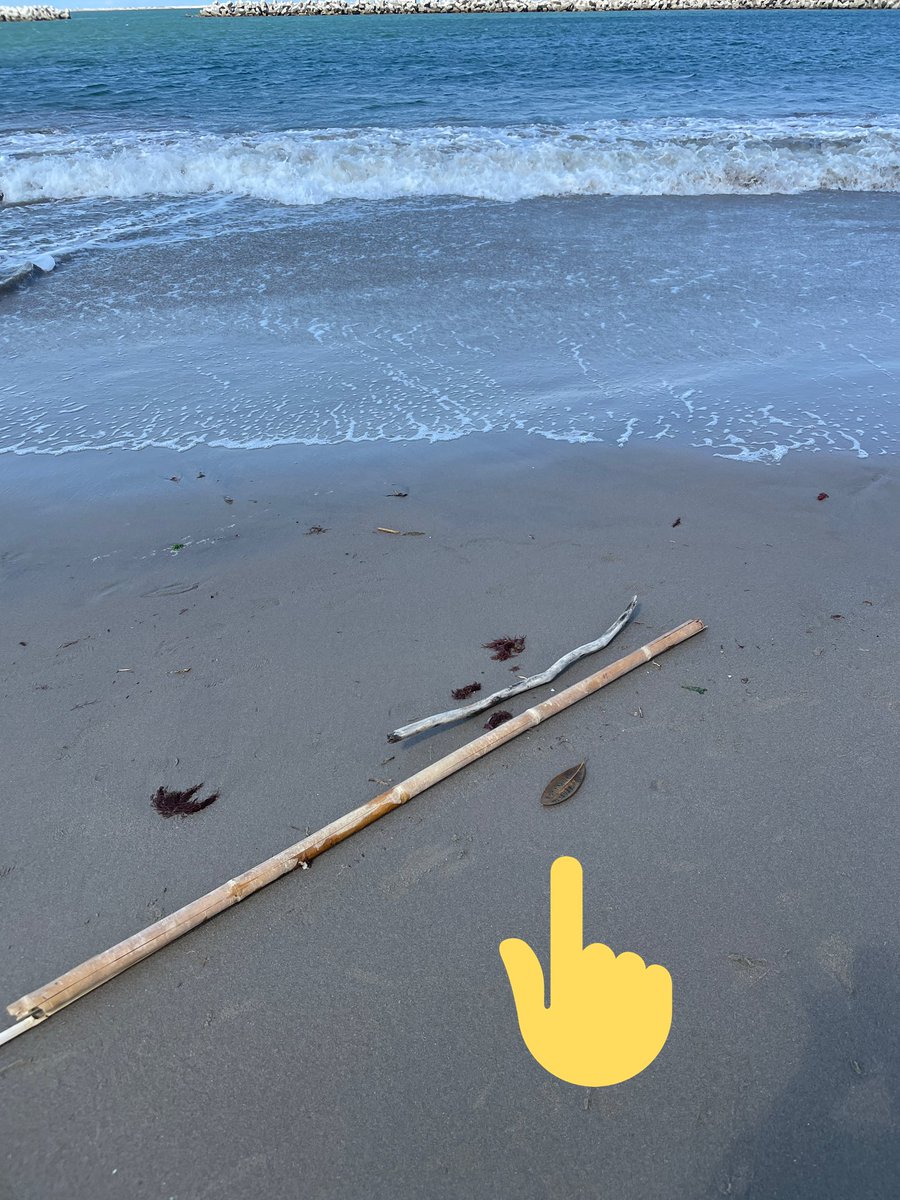 KP4V2's tweet photo. #相馬市　の尾浜海岸を散策してたら、葉っぱが突然飛んできた

枯れているので随分前のものであるが、葉っぱにコメントが何故か書かれていた。

「あなたのぶんもがんばります」と記載さてていた。

なんだろう？

葉っぱは最後には、海に消えていったが…

#空ネット　
#福の空
#震災
#祈り https://t.co/RCrlr2dR94