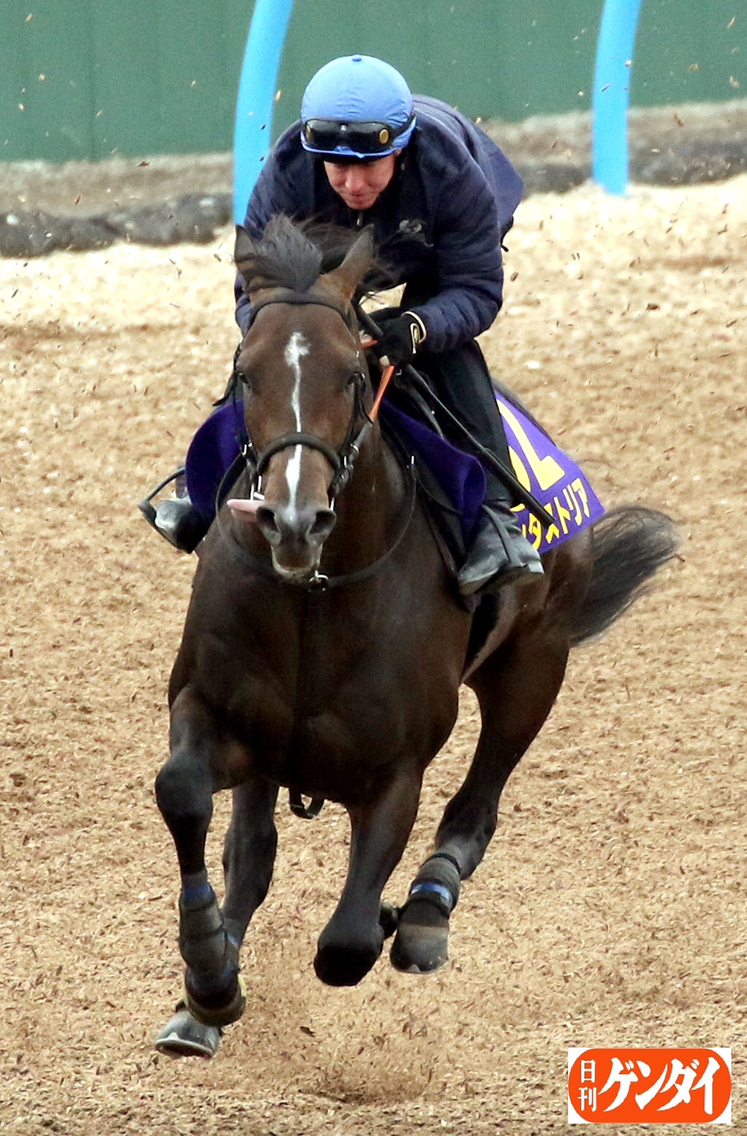 日刊ゲンダイ 競馬 ｎｈｋマイルｃ出走のインダストリア 馬名の意味由来は 物語に登場する架空の地名 と 昭和世代にはピンとくる話 宮崎駿監督のアニメ 未来少年コナン で太陽エネルギーを使う科学都市がインダストリアでした 週イチの３０分