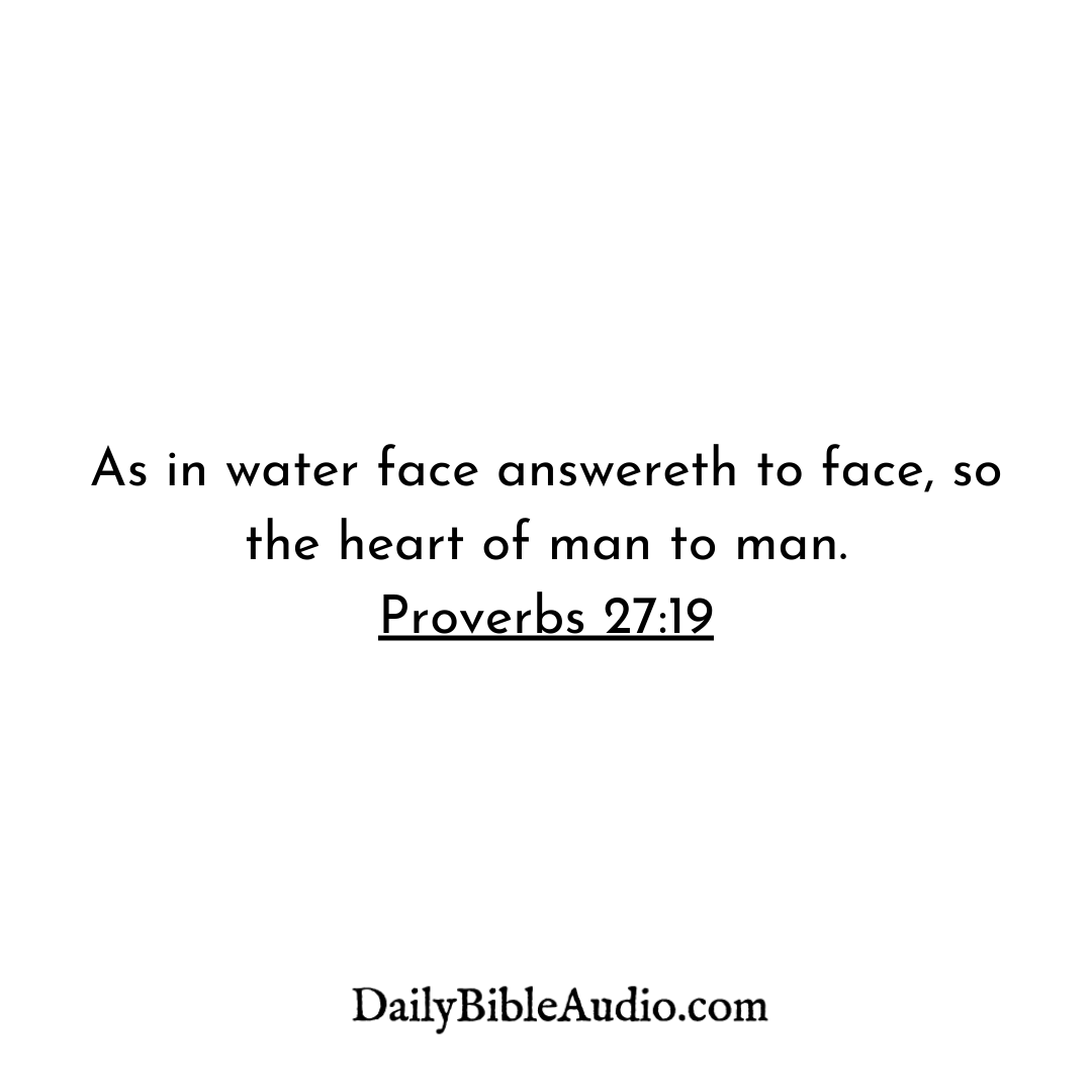 DailyBibleAudi1's tweet photo. The Book of Proverbs is amazing! ๐
.
.
.
#proverbs #biblegodquotes #bibleforeveryday #verseimage #bibleway #bibledotcom #biblejornaling #bibleisthetruth #bibleproof #bibleversefortoday๐๐๐ฝ๐๐๐ฝ #biblequotesdaily #dailybibledevotional #bibleprophecy #kjvbibleonly #biblegem https://t.co/vpXMFPDGwf