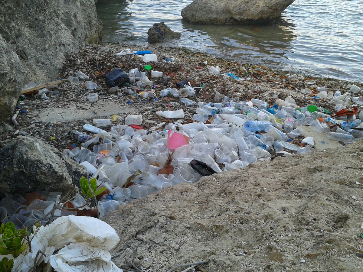 It's blog time!
Van De Sant is committed to making the earth eco friendly again. To do this we started a blog!

Our first blog has just come online, are you interested in helping the planet?
Check out our 7 tips now! Link in bio
vandesant.com/blog-english/2…