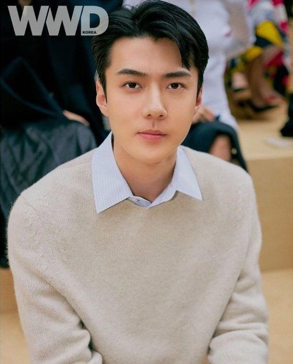 Kim39297653's tweet photo. • Sehun
#SEHUN #세훈 
#엑소 #EXO @weareoneEXO @B_hundred_Hyun @layzhang https://t.co/UwwFEjmFqB