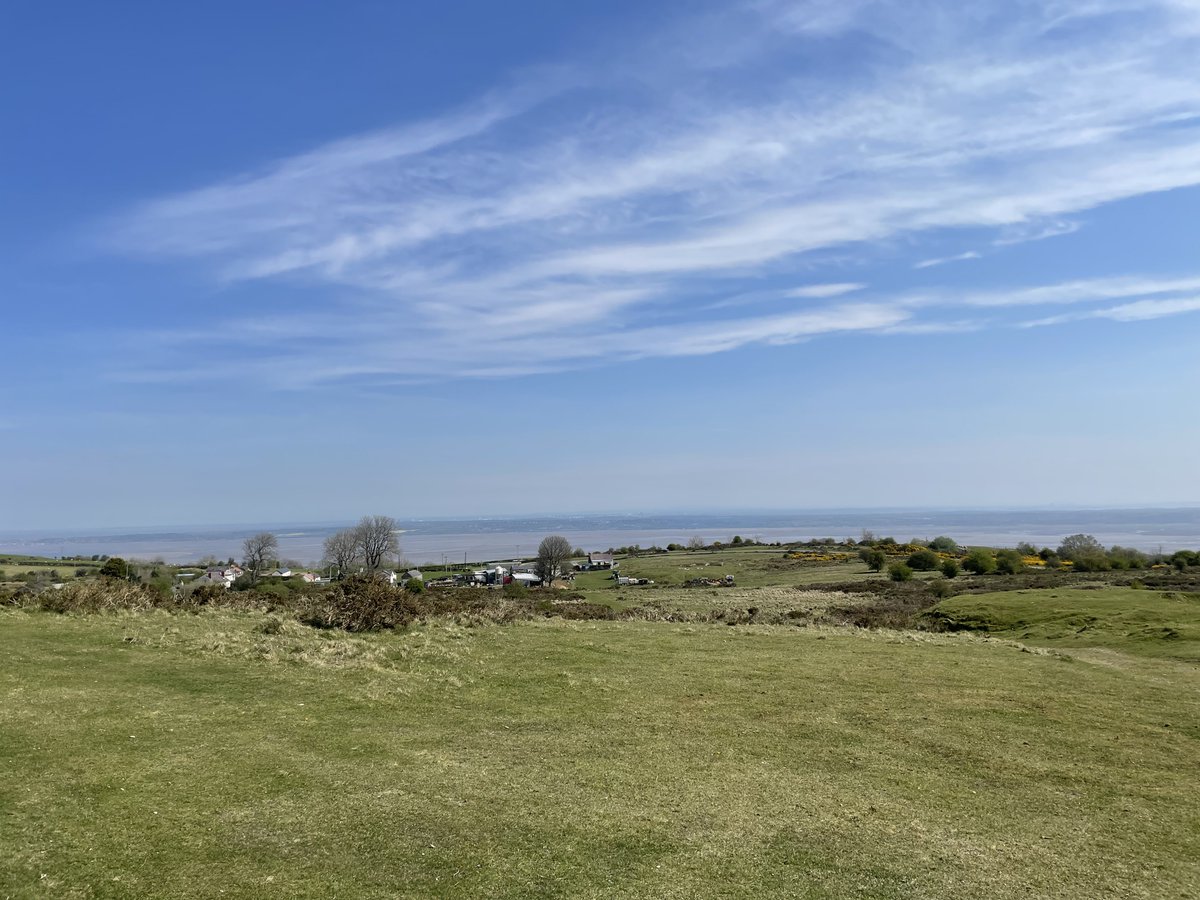 Atmos Consulting tweet media