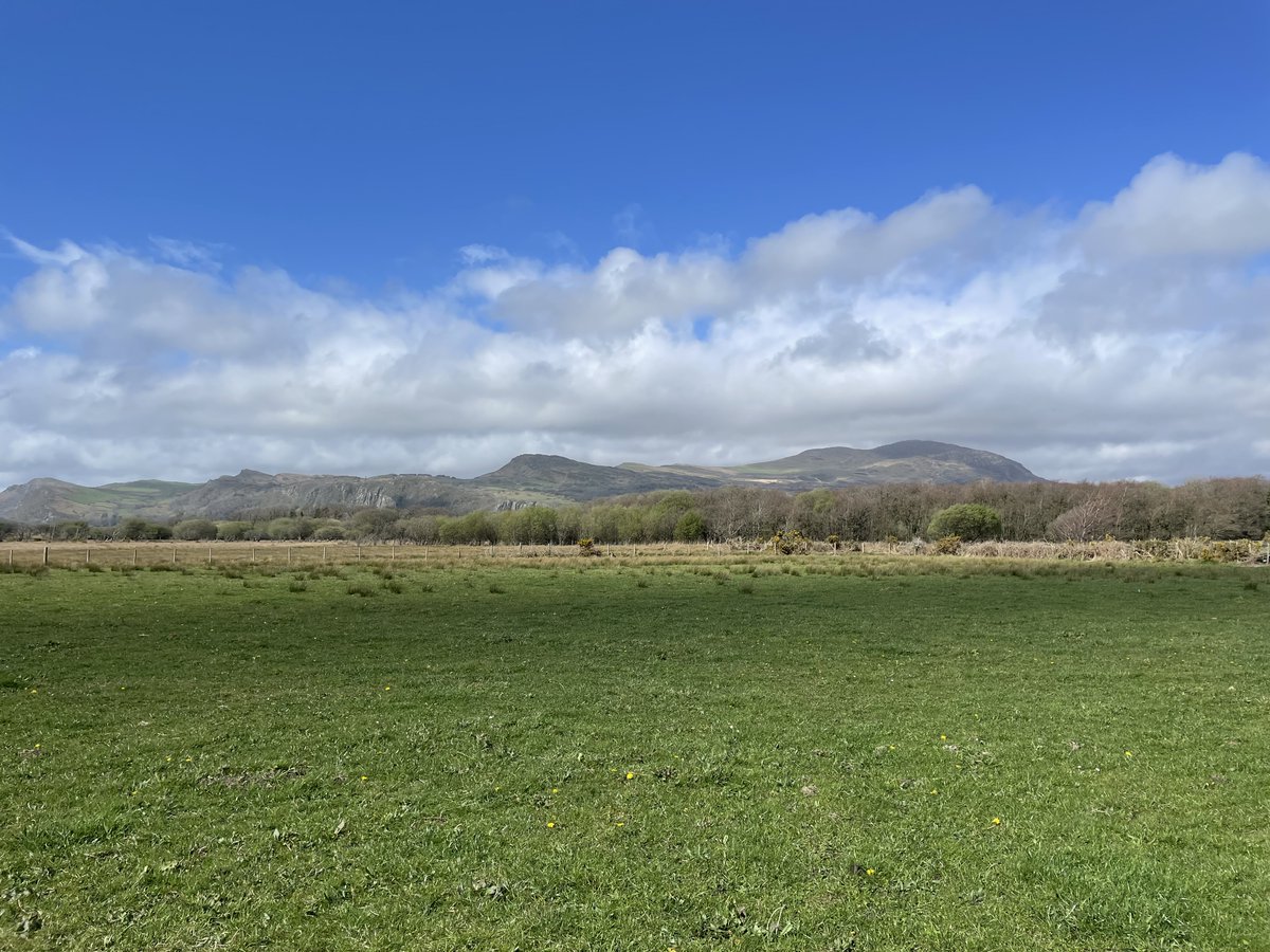 Our #ecology team in Wales have been enjoying some of the recent good weather. Beautiful spring scenery photos taken when out undertaking #Phase1 surveys and #ECoW work across North Wales and the Wirral.  #Sustainabledevelopment