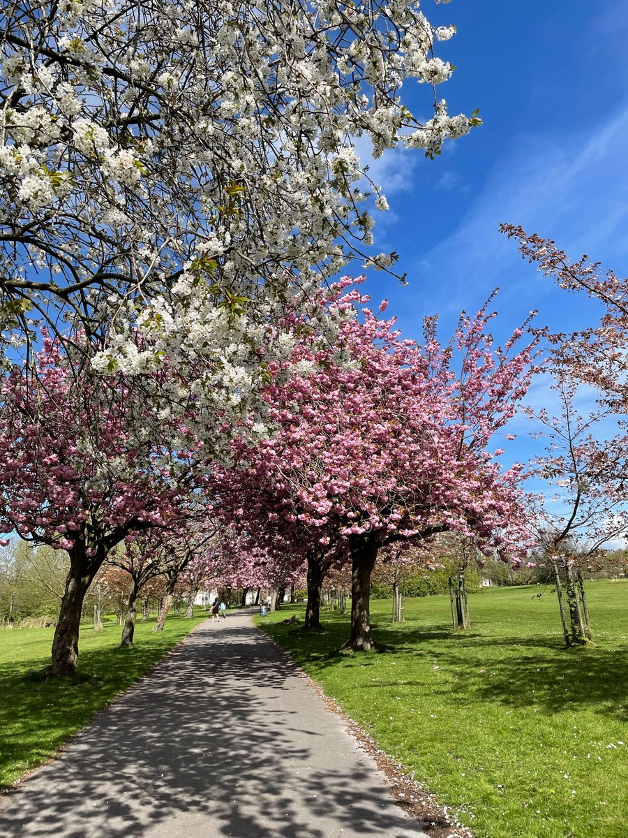 Atmos Consulting tweet media