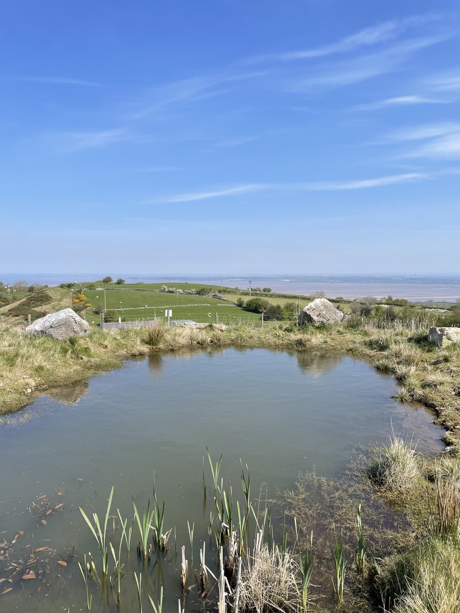 Atmos Consulting tweet media