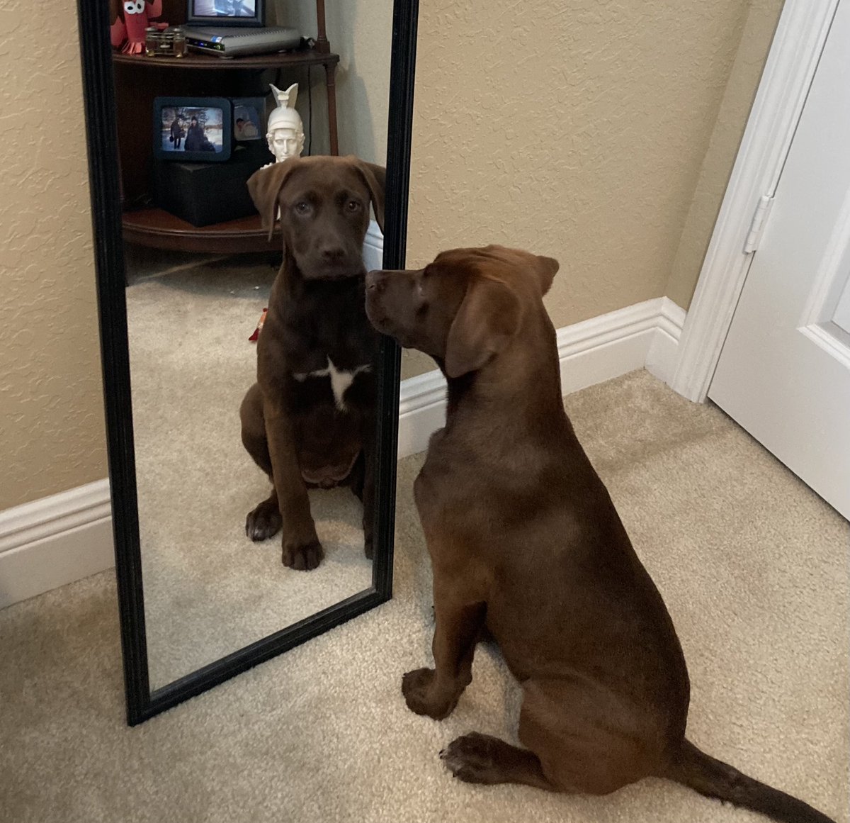 BrandonPerronPI's tweet photo. Self reflection - "We do not learn from experience. We learn from reflecting on experience." - John Dewey https://t.co/beFnaTbzfK