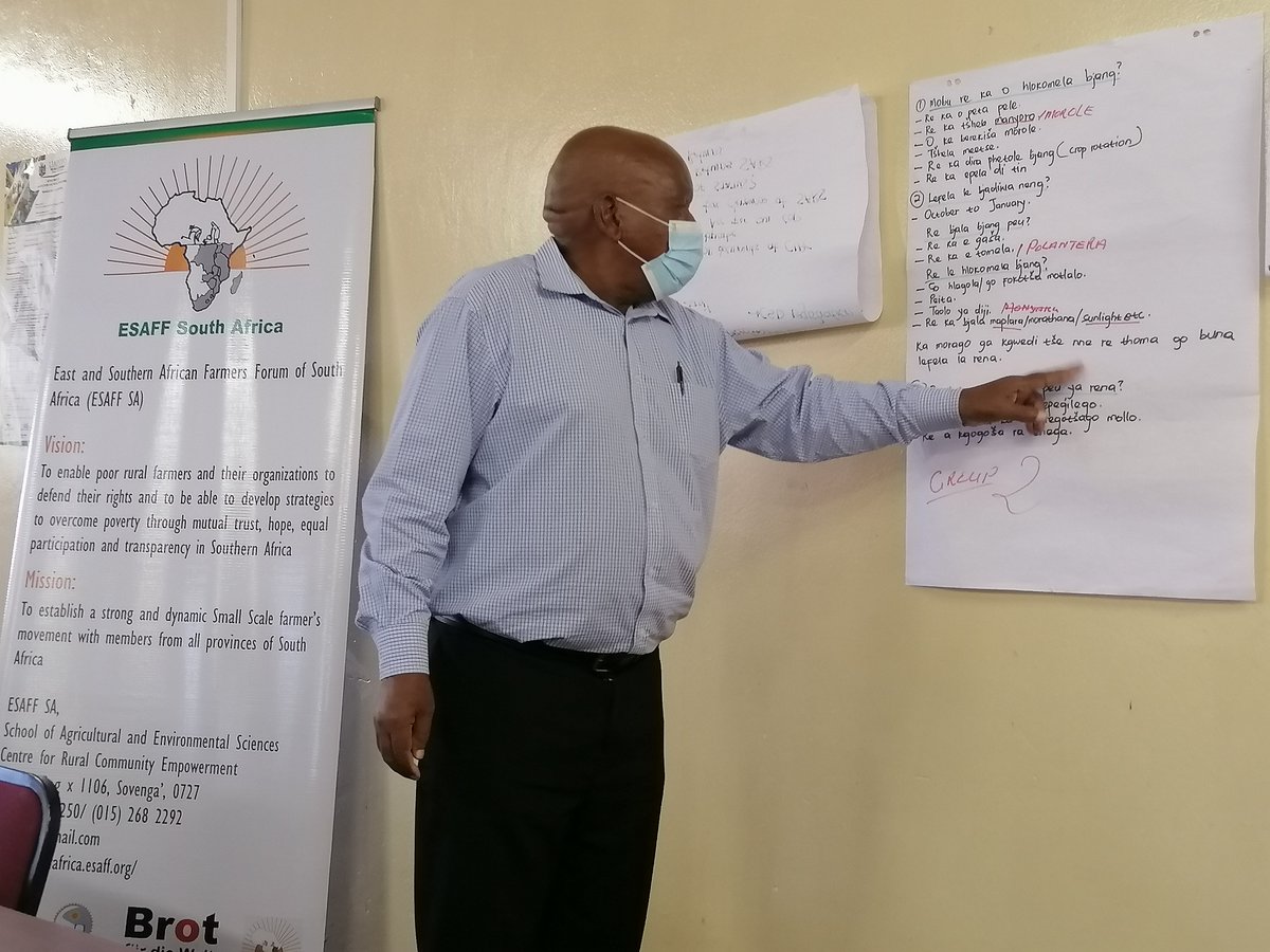 ESAFF South Africa,

Indigenous Soil, OPV Seeds and Pest Management presentation by Mr. M.W Nkgadima- Smallholder farmer and Indigenous knowledge holder under Capricorn District,

#CommunityImmunity #Agroecology #Smallholder #SAT