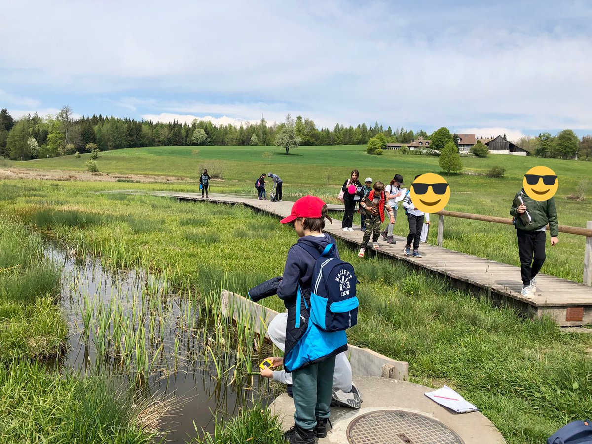 Grade 3 got to see and experience a rebuilt ecosystem today. Beautiful Switzerland. The cow even obliged for the photo! #outdoorlearning #ecosystems