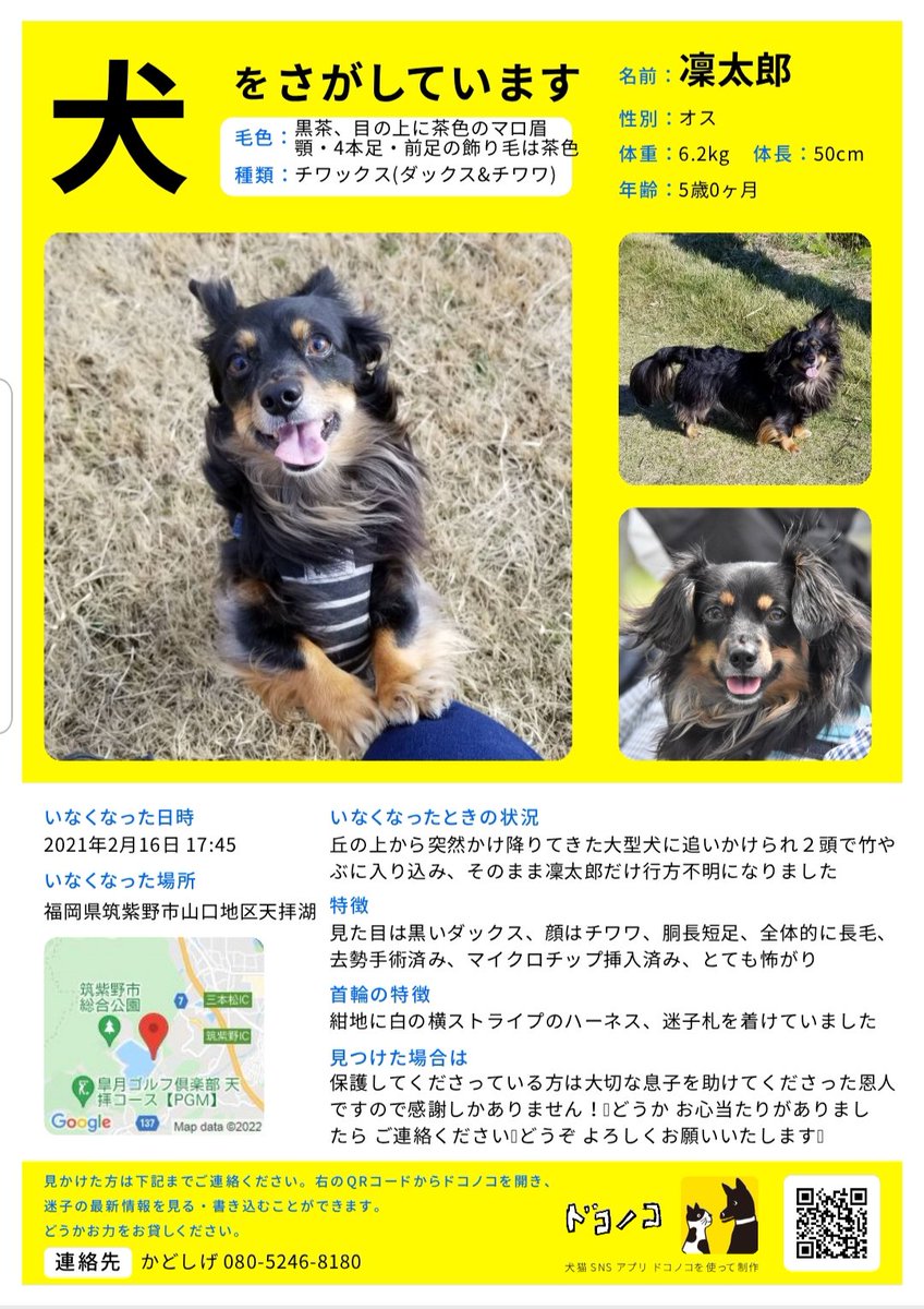 maigoinurintaro's tweet photo. #迷子犬りん太郎 #迷い犬 #チワックス
☆R3.2/16 #福岡県 #筑紫野市 #天拝湖 周辺で #行方不明
☆５歳
☆体長50cm位
☆体重６キロ位 
☆#マイクロチップあり

☑️昨年2月中旬以降に黒い小型犬を保護くださってませんか？
#拡散希望 #迷子 #迷子犬 #大切な家族
⬇️本日のインスタ
https://t.co/omOde4NiRP https://t.co/f8ZRiJtafs