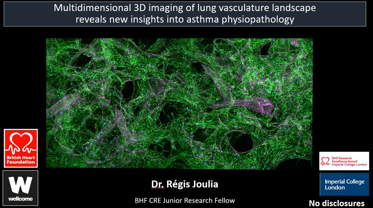 Delighted to speak tomorrow online and next week in San Francisco about our new 3D imaging tool to visualise lung vasculature during asthma🔬 #ican #asthma #AsthmaDay developed in the @lloyd_lab at @ImperialNHLI big thank you to @BHFCoREImperial and @TheBHF