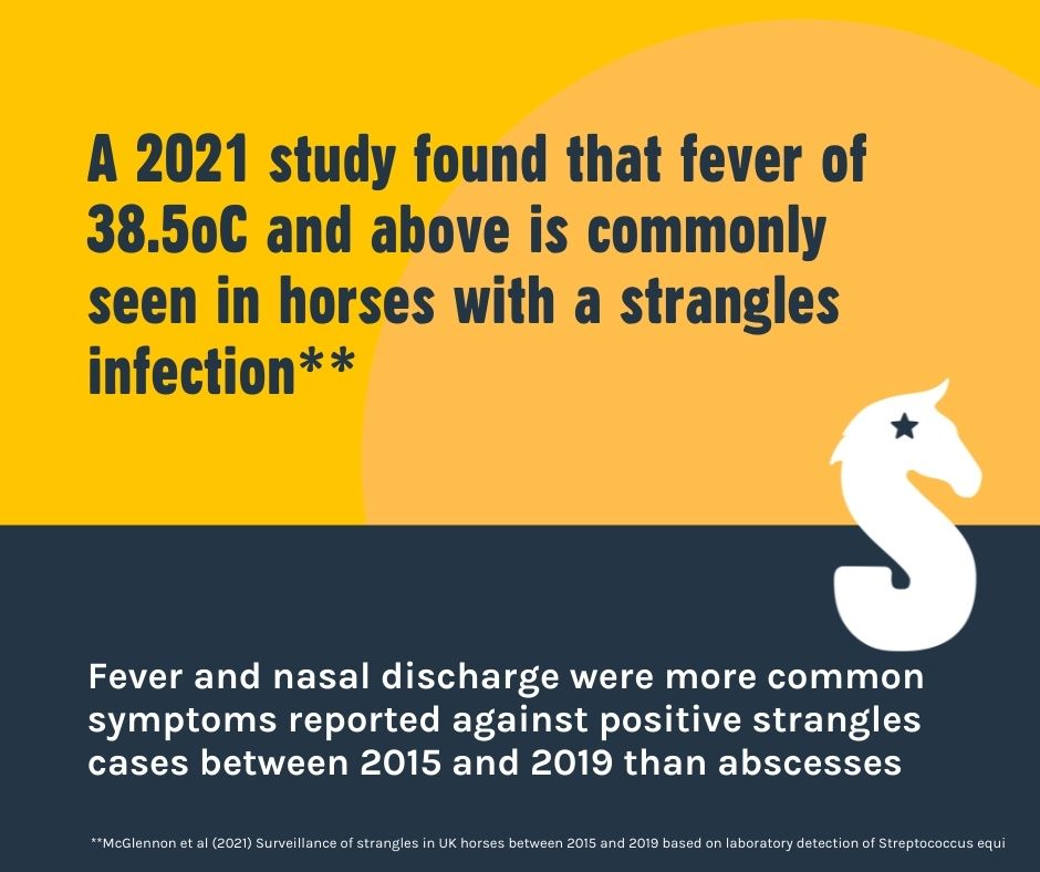 equinevetaus's tweet image. So why is temp checking do important  for Strangles prevention? #SAW2022 #TempCheckChallenge