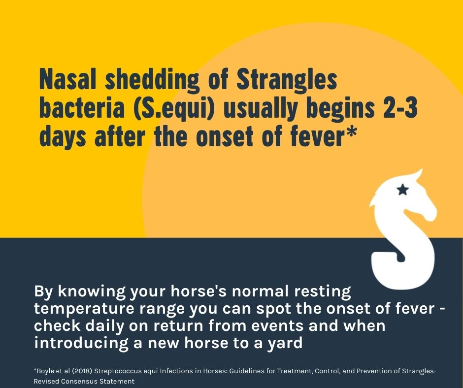 equinevetaus's tweet image. So why is temp checking do important  for Strangles prevention? #SAW2022 #TempCheckChallenge