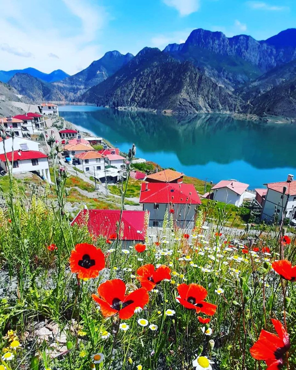 Zeytinlik  Köyü /Artvin
Foto:Tolga Gül
.
.
#artvin #sirya #zeytinlikköyü #artvinguncel #turizm #artvingezi