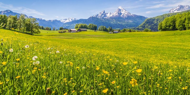 𝗧𝗼𝗻𝘆 tweet media