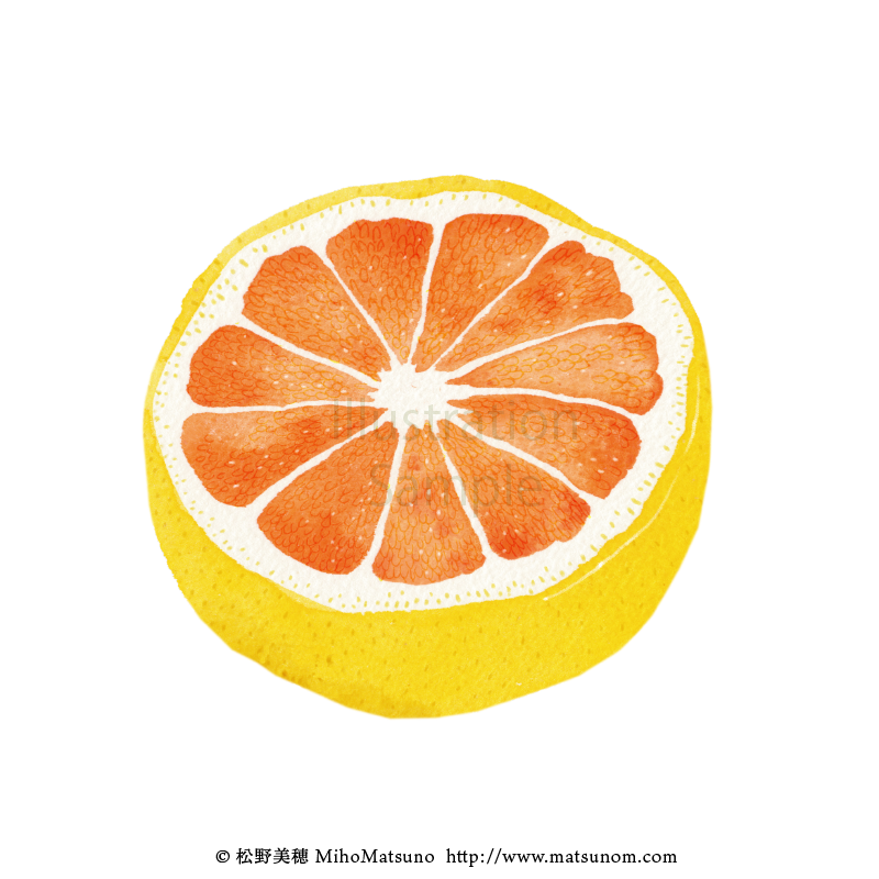 「おはようございます 」|松野美穂💮6/15-6/25展示のイラスト