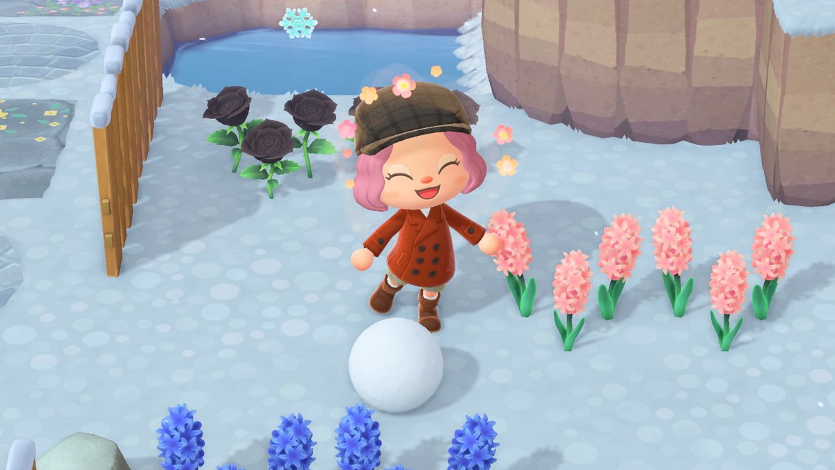 reaInymph's tweet photo. #AnimalCrossing #ACNH #NintendoSwitch https://t.co/ltLhXQKRr9