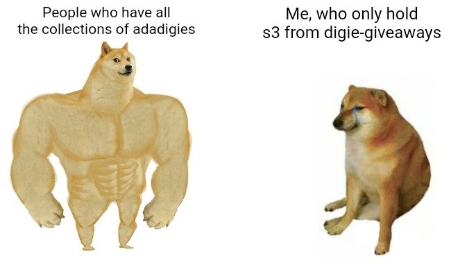 Neko the cat tweet media