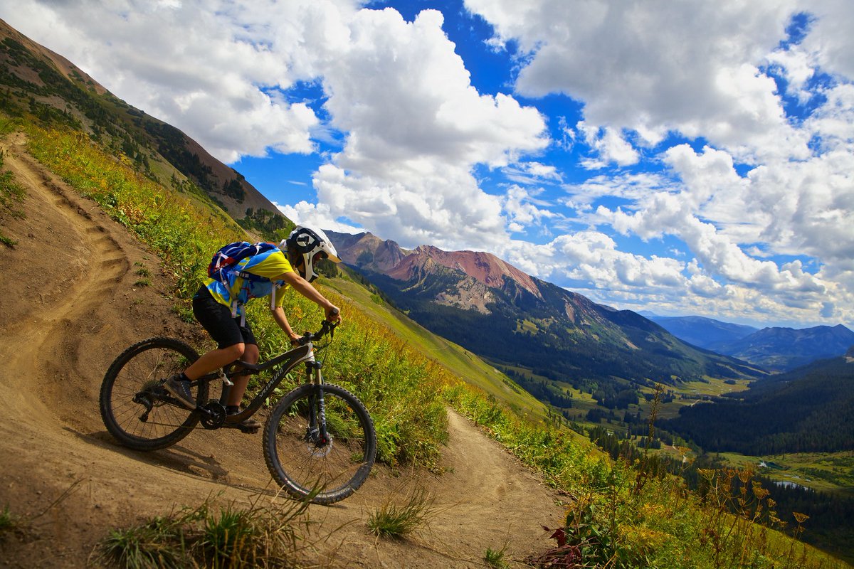 LizzyGotschlich's tweet photo. Nobody:                                         Mosquitoes in Colorado:  #apes https://t.co/y0h5IMMdEg