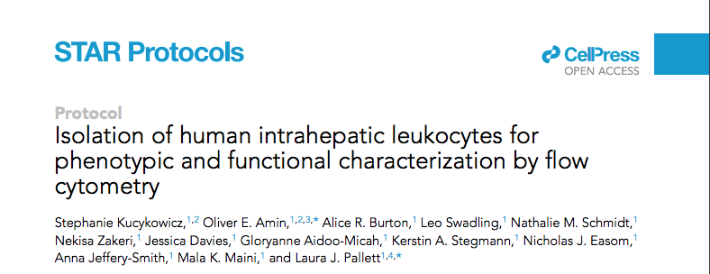 Maini Lab UCL tweet media