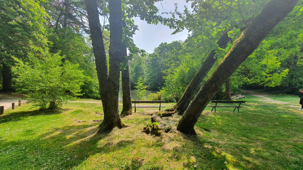 Archi_BoulBi's tweet photo. Quel endroit fabuleux ❤️🌿
#ParcEdmondDeRothschild #BoulogneBillancourt https://t.co/Ym1qNnCiJE
