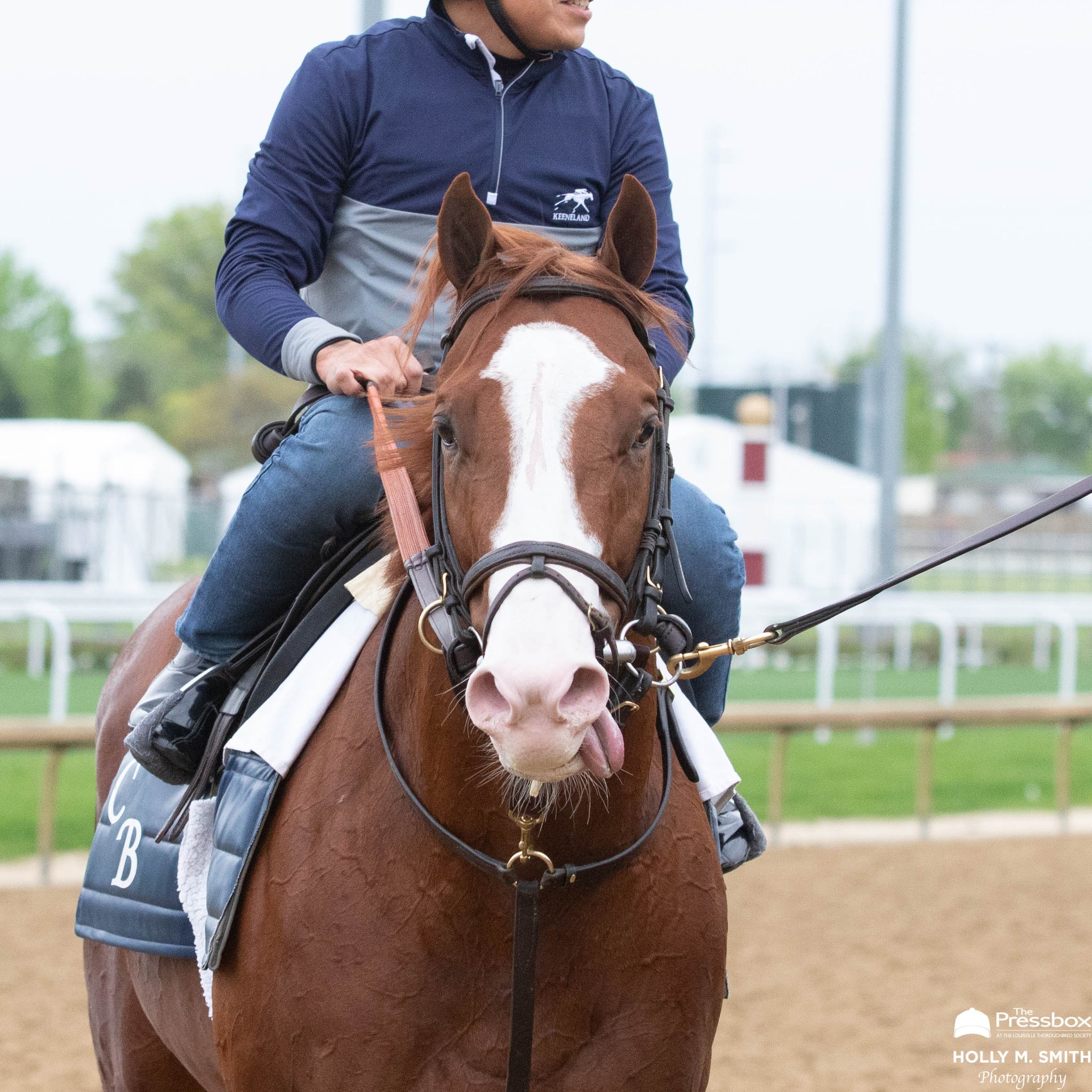 The Pressbox on Twitter "Stakes Races & Previews on KY Derby Day Jack