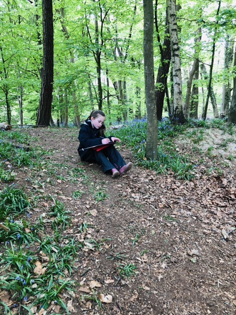 OPSForest's tweet photo. Year 4 have been busy creating their own woodland maps in Forest School this week.

#OPSForestSchool #ForestSchool #OutdoorLearning #Goring #Berkshire #Oxfordshire https://t.co/9Wws34r5Vy