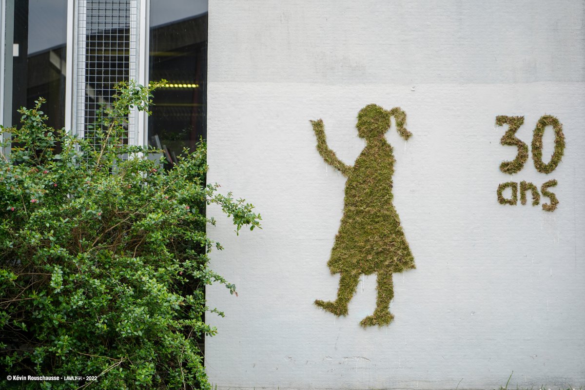 [FESTIVAL DU PREMIER ROMAN] Le #greentag met à l'honneur le livre et la lecture à #Laval. Lecture en Tête vous propose de découvrir une dizaine de figures visibles dans la ville. Objectif : sensibiliser à la lecture par le biais de l'art visuel activiste qu'est l'art urbain‍‍ 😉