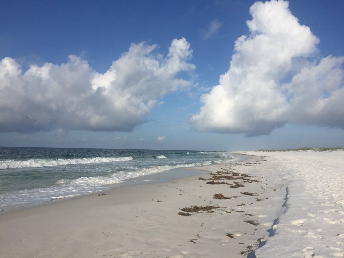 thekeithman's tweet photo. A glorious morning on the island! #beachrun #runtrails https://t.co/XrvJi65Eyp