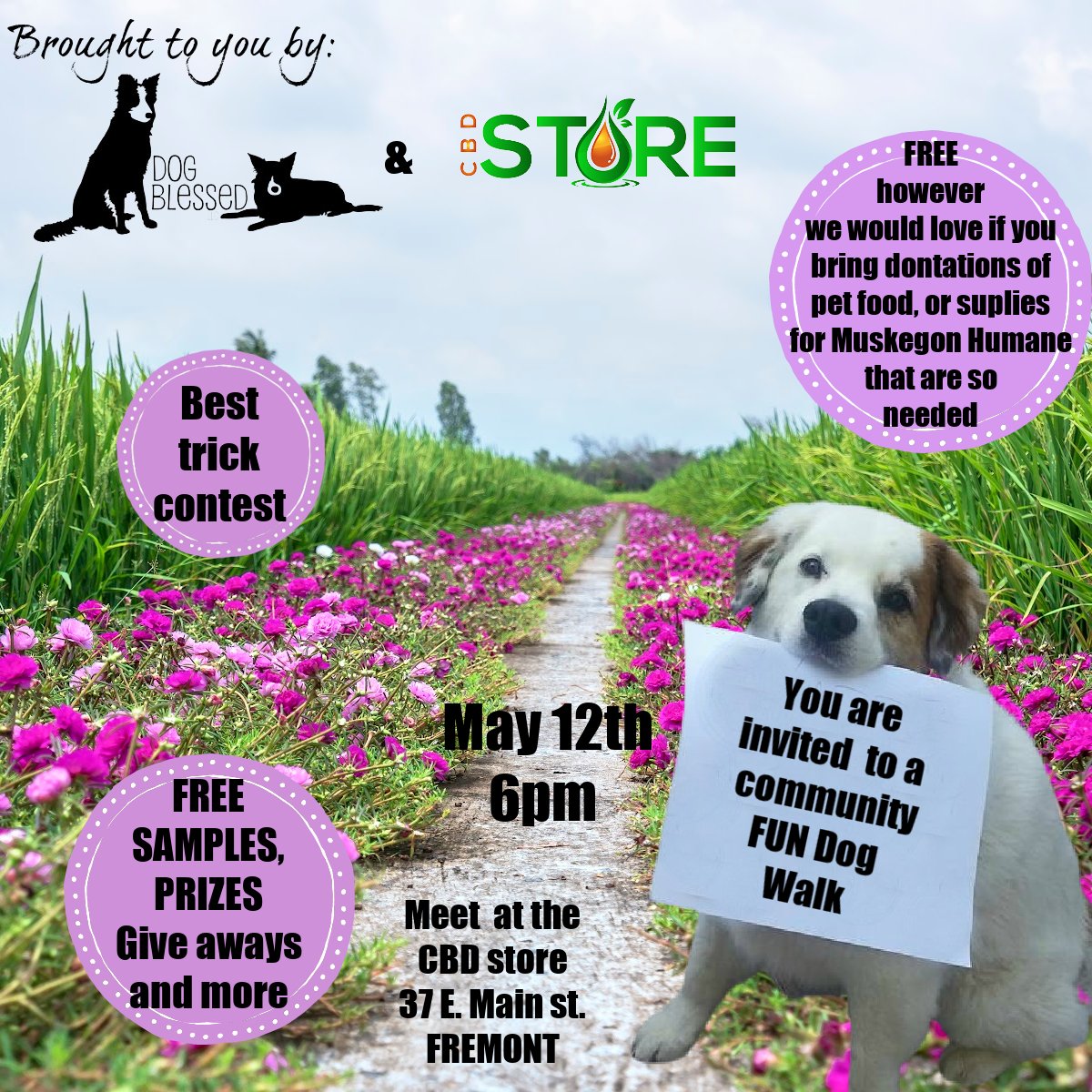 cani7lupus's tweet photo. FREE FUN DOG WALK https://t.co/uFiijVwoIu in Fremont MI #helpingdogslivethierbestlives https://t.co/8hq1Er69mk