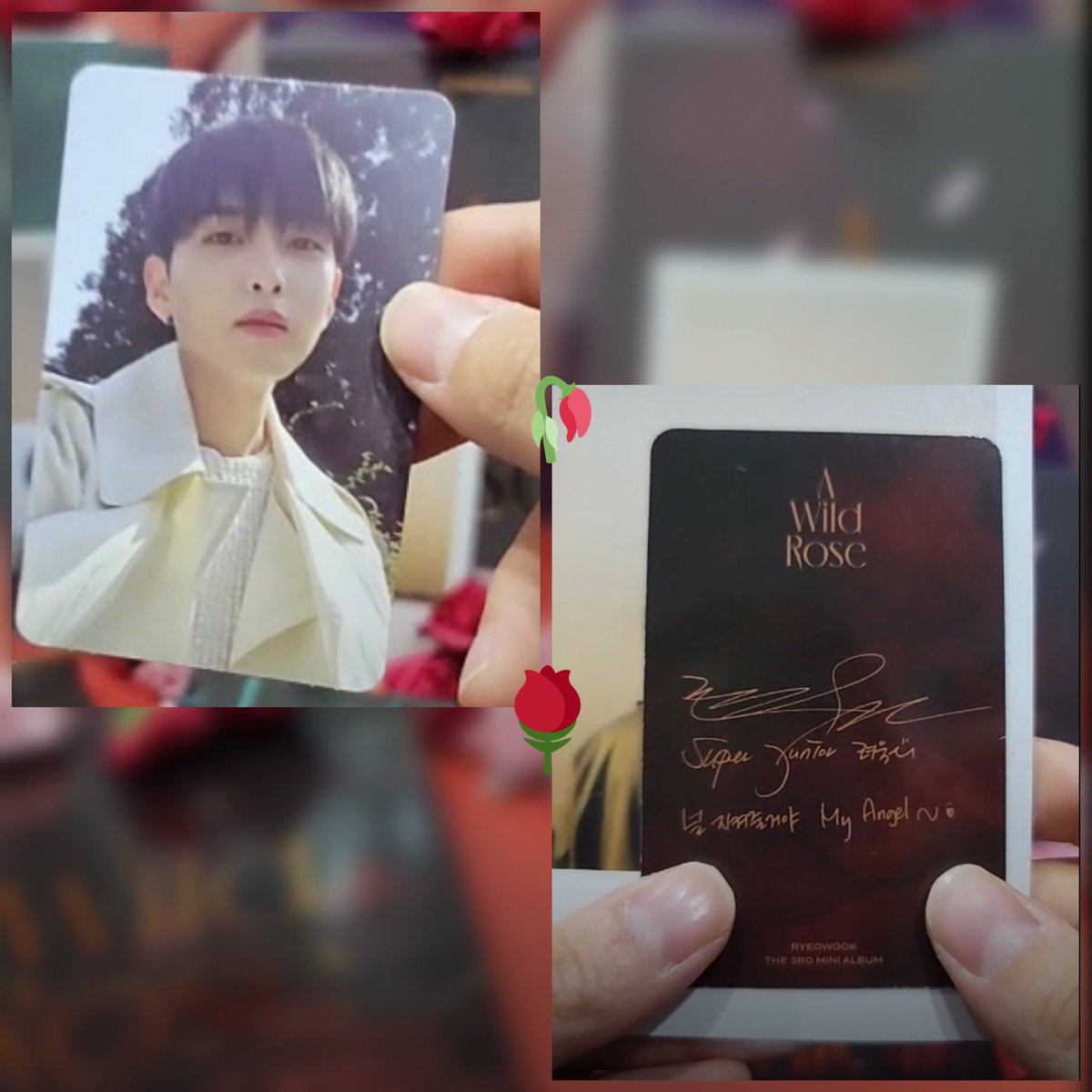 Najwarzk_SJ4E's tweet photo. Left pic: 1/3 Petal Vers. Photo cards
1. “I’ll protect you My Angel ~ ^ღ^”
- Everlasting Love’s chorus lyric -
Right pic: 1/3 Prickle Vers. Photo cards
1. “Love you E.L.F ^ღ^ I hope you’ll always be happy!” https://t.co/f9BaJXIBxd