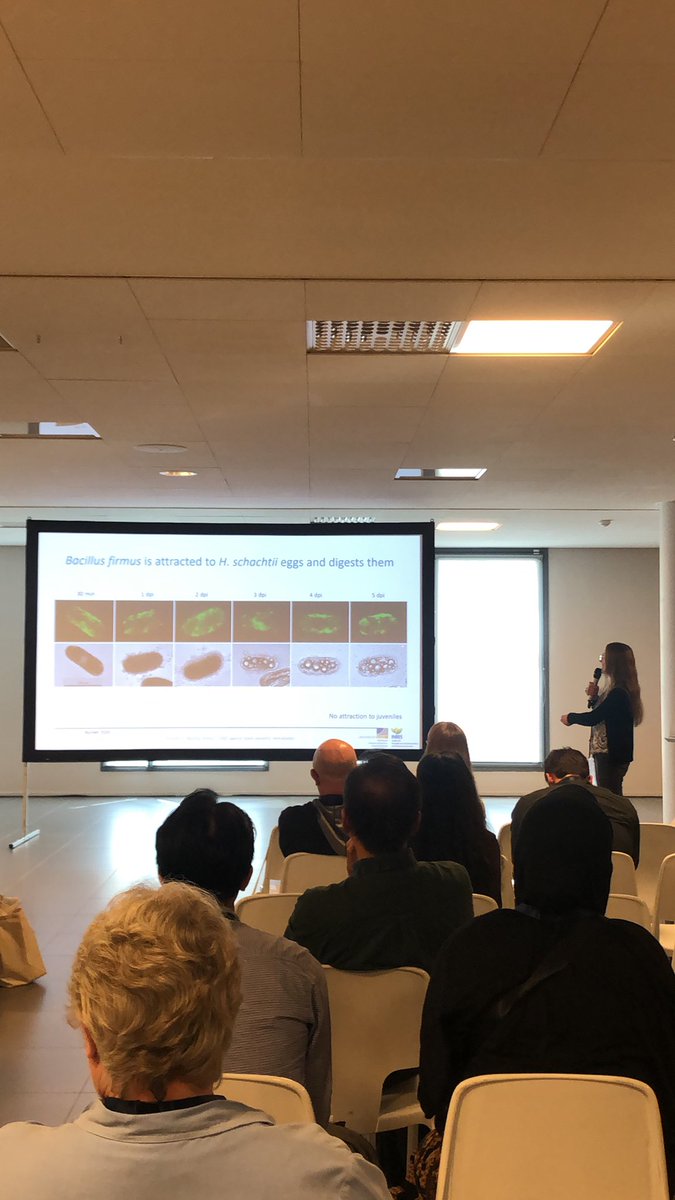 Bacillus firmus as a biocontrol agent against H.schachtii #Beautiful work, and nice talk # by Sylvia #MPM <a href="/UniBonn/">Rheinische Friedrich-Wilhelms-Universität Bonn</a> #ICN2022 Antibes France