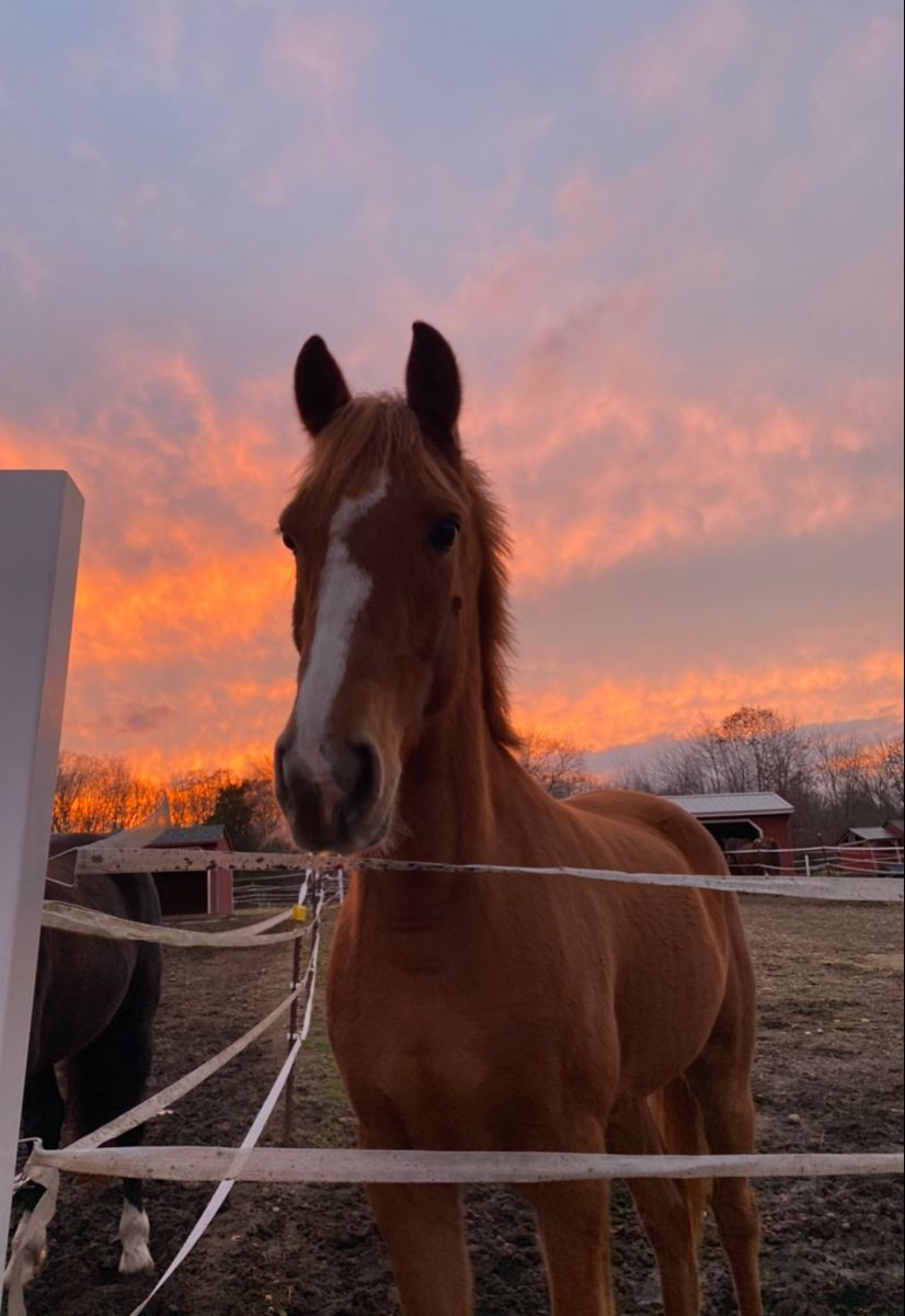 Good Tuesday evening precious world ❤💌🕊