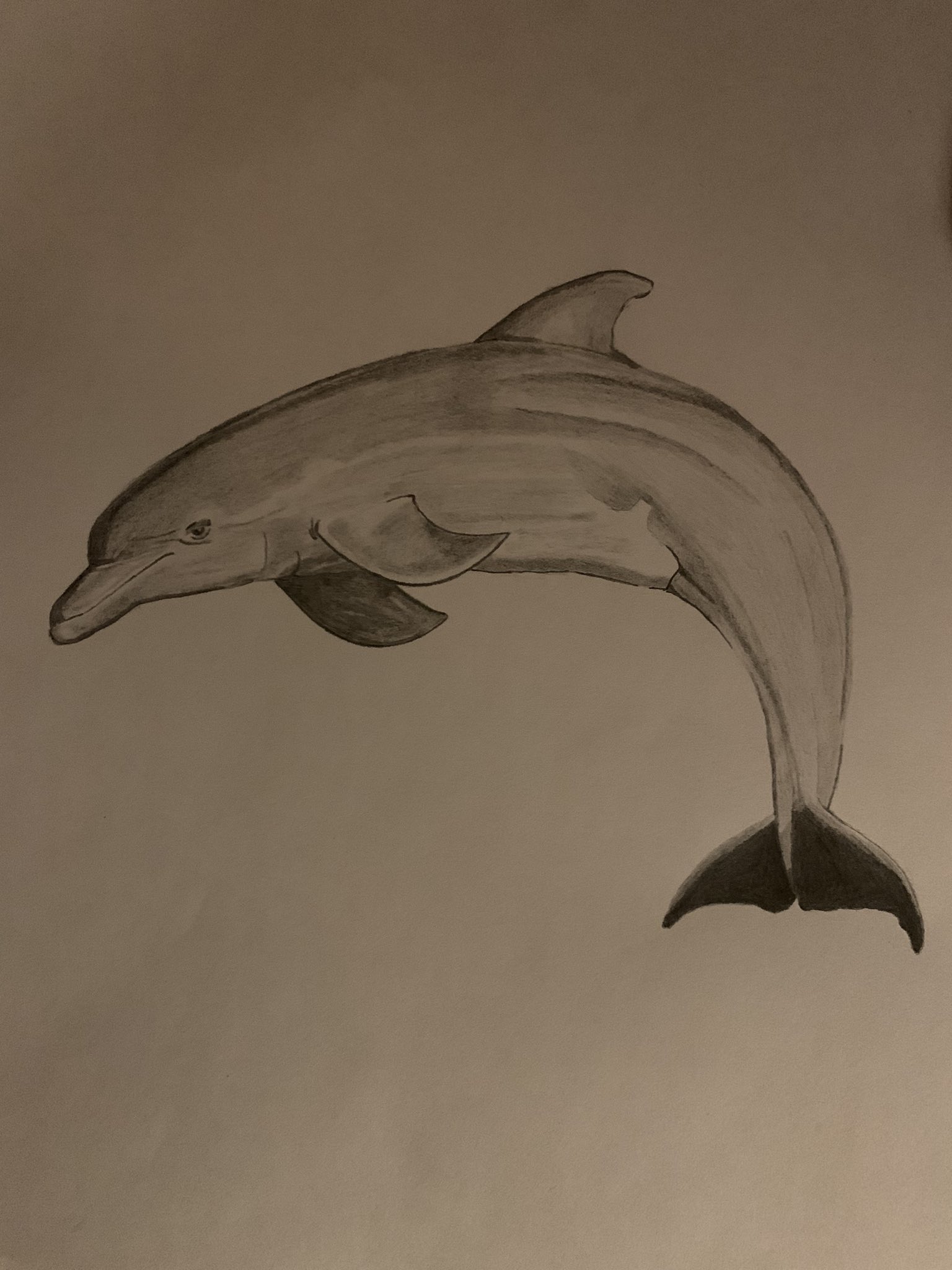 How to draw Scenery of Dolphin in Beach  Sunset Scenery Drawing with Pencil  Sketch  YouTube
