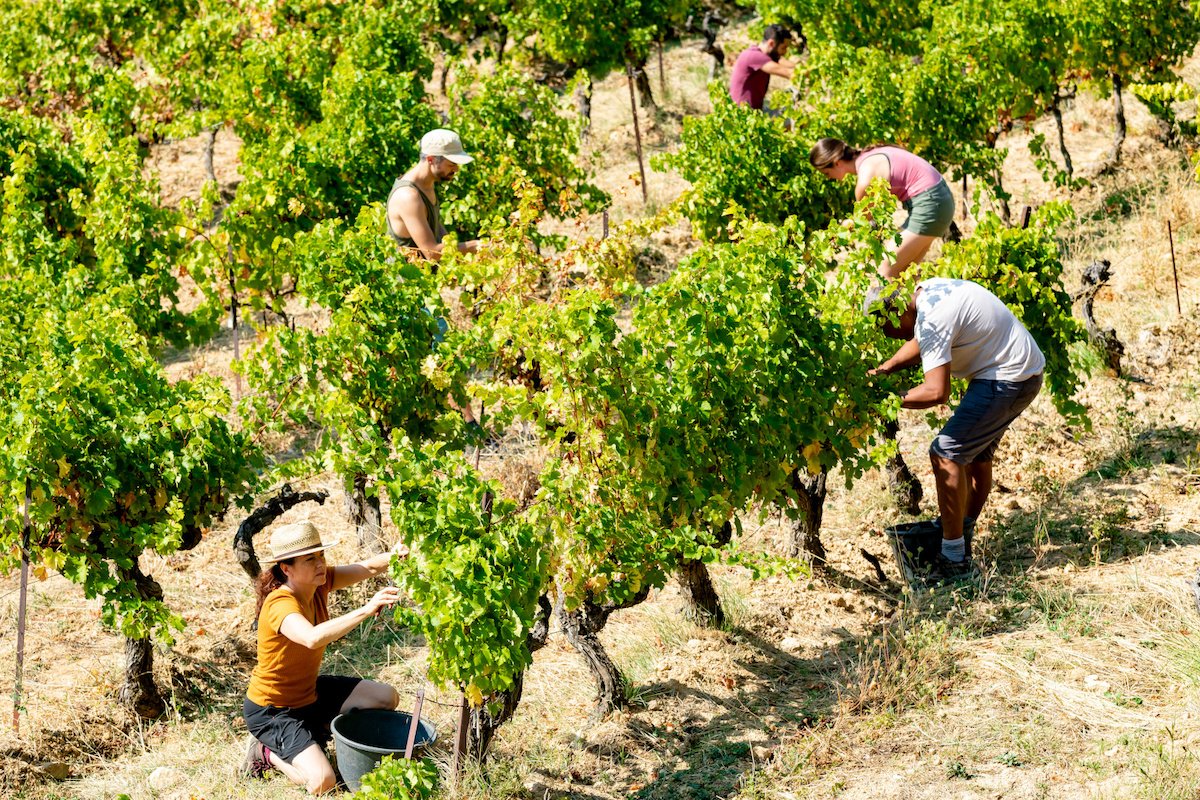 Des postes vacants à pourvoir dans votre entreprise ou exploitation agricole ?
Avec L’#ANEFA (Association Nationale paritaire pour l’Emploi et la Formation en Agriculture), assurez votre recherche de candidats et la multidiffusion de vos offres d’emploi.
👉lagriculture-recrute.org