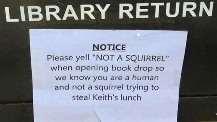 UncleDuke1969's tweet photo. squirrel: *points gun*
me: what do you want me to do?
squirrel: *gestures at sign*
me: alright, i get it *opens book drop*
squirrel: *makes hurry-up motion*
me: NOT A SQUIRREL! https://t.co/DlxnDUEejD