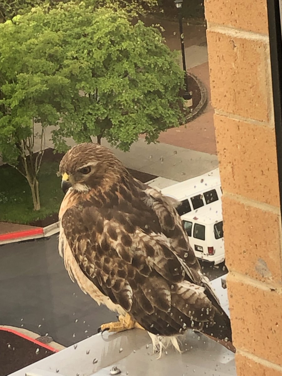 Look who stopped by our space at the ALC to wish our undergraduate researchers good luck on finals! 👀